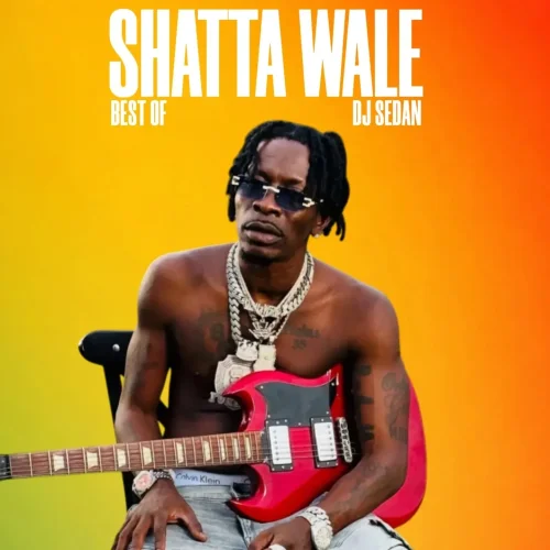 DJ Sedan - Best Of Shatta Wale (Dancehall Hitz Mix)