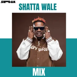 DJ Sedan - Shatta Wale Mix (Ultimate Edition)