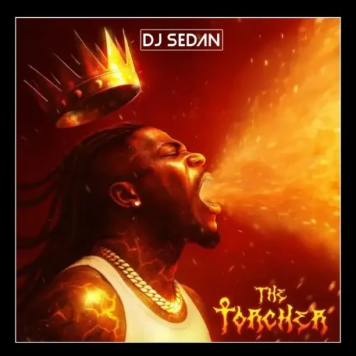 DJ Sedan - Toucher Album Mix 2025 (feat. Stonebwoy)