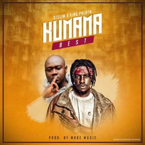 DJ Slim - Kumama Best (feat. King Paluta)