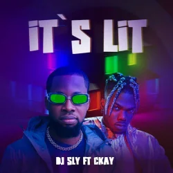 DJ Sly - It's Lit