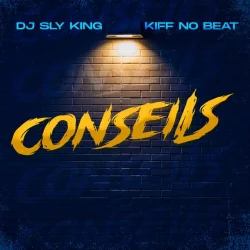 DJ Sly King - Conseils