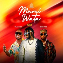 DJ Spinall - Mami Watta (feat. Fanicko)
