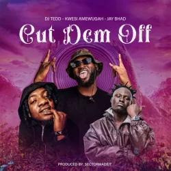 DJ Tedd - Cut Dem Off (feat. Kwesi Amewuga & Jay Bahd)