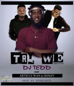 DJ Tedd - Try We (feat. Donzy & Article Wan)