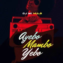 DJ YK Mule - Ayebo Mambo Yebo