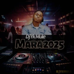 DJ YK Mule - Endless Joy