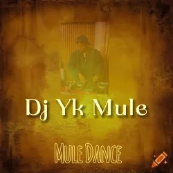 DJ YK Mule - Mule Dance Beat