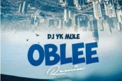 DJ YK Mule - Oblee (Remix) (feat. Wizkid & Seyi Vibez)