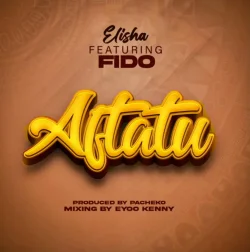 DOGO ELISHA - Aftatu (feat. Fido)