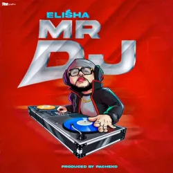 DOGO ELISHA - Mr Dj