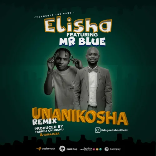 DOGO ELISHA - Unanikosha (Remix) (feat. Mr Blue)