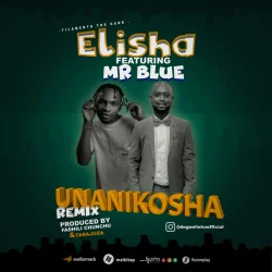 DOGO ELISHA - Unanikosha (Remix) (feat. Mr Blue)