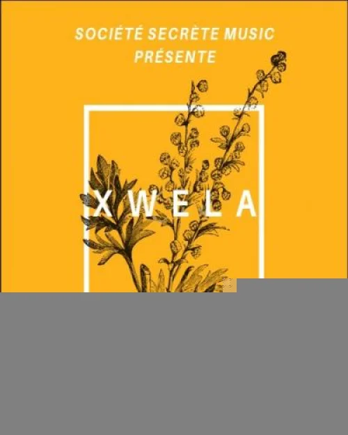 DSM - Xwela