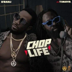 D'Banj - Chop Life