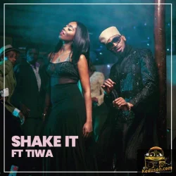 D'Banj - Shake It