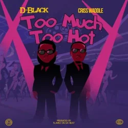 D‐Black - Too Much Too Hot (feat. Criss Waddle)