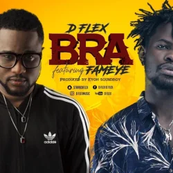 D Flex - Bra (feat. Fameye)