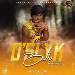 D'Slyk - Bollo