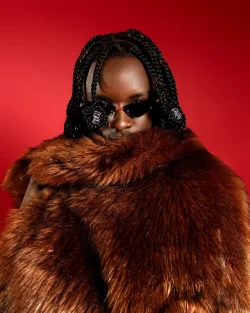 D Voice - Chizi Wee