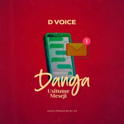 D Voice - Danga Usitume Meseji