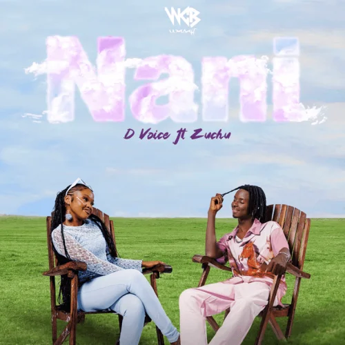 D Voice - Nani (feat. Zuchu)