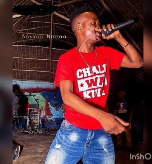D Voice - SHOBO I (feat. Boshoo Ninja)