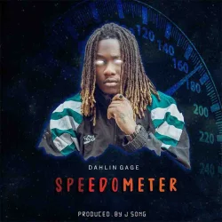 Dahlin Gage - Speedometer | Www.Crateshub.Com