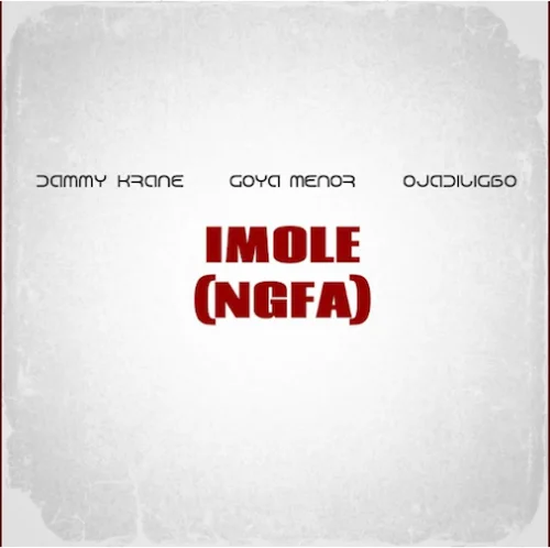 Dammy Krane - Imole (NGFA) (feat. Goya Menor & Ojadiligbo)
