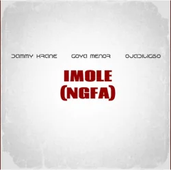 Dammy Krane - Imole (NGFA) (feat. Goya Menor & Ojadiligbo)