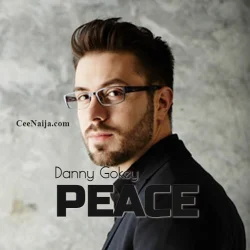 Danny Gokey - Truth Is