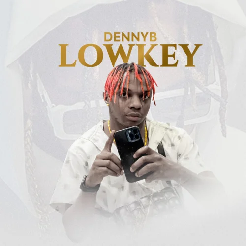 Danny S - Low Key
