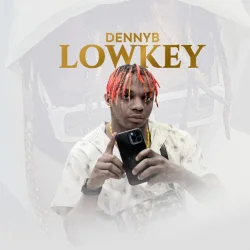 Danny S - Low Key