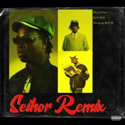 DarkoVibe - Seihor (Remix) (feat. Kofi Mole & Beeztrap KOTM)