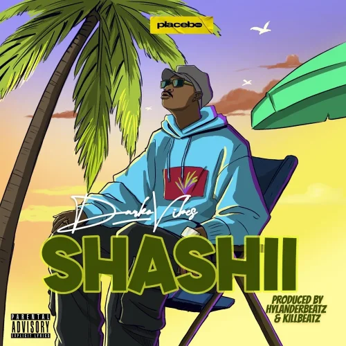 DarkoVibes - Shashii