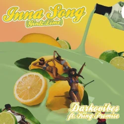 Darkovibes - Inna Song (Gin & Lime) (feat. King Promise)