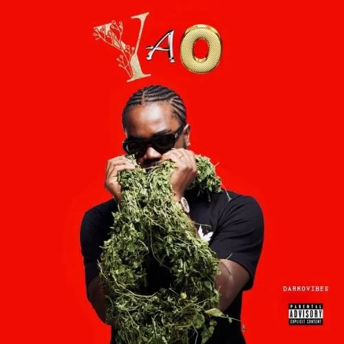 Darkovibes - Yao