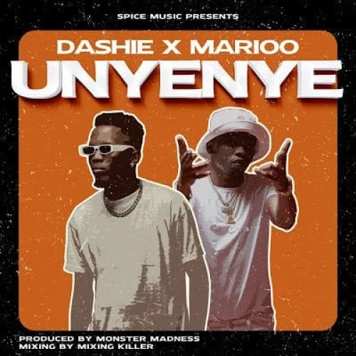 Dashie - Unyenye (feat. Marioo)