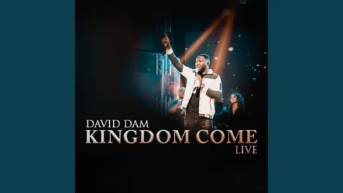 David Dam - Under The Shadow (Live)