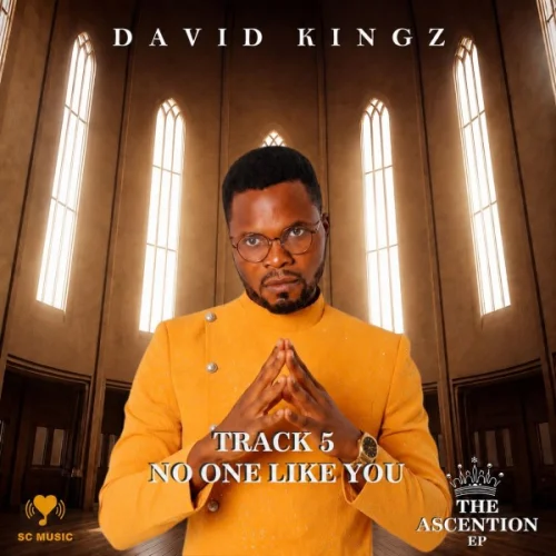 David Kingz - No One Like You
