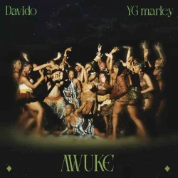 Davido - Awuke (feat. YG Marley)