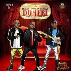 Davido - Dumebi