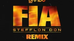 Davido - FIA (Remix) (feat. Stefflon Don)