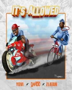 Davido - It's Allowed