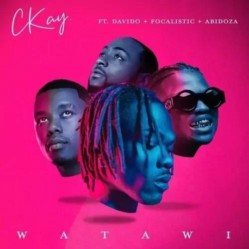 Davido - Watawi (feat. Focalistic & Abidoza)