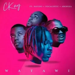 Davido - Watawi (feat. Focalistic & Abidoza)
