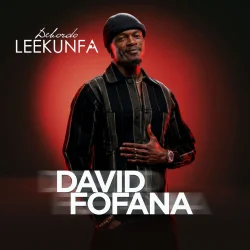 Debordo Leekunfa - David Fofana