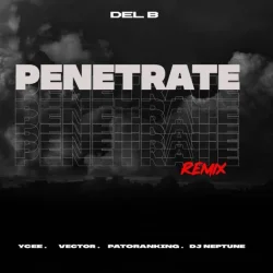 Del B - Penetrate (Remix) (feat. Patoranking, YCee, Vector & DJ Neptune)