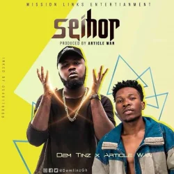 Dem Tinz - Seihor (feat. Article Wan)