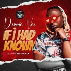 Demmie Vee - If I Had Know